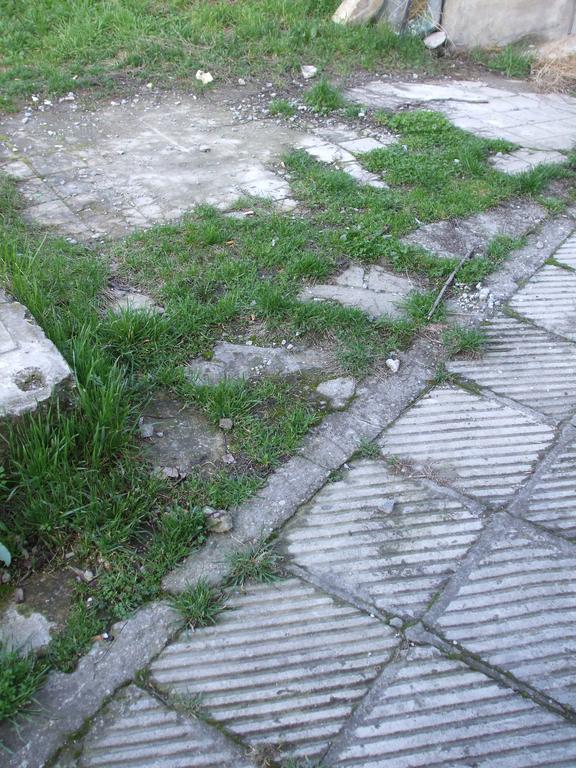 טרגובישטה Daneto Apartment מראה חיצוני תמונה